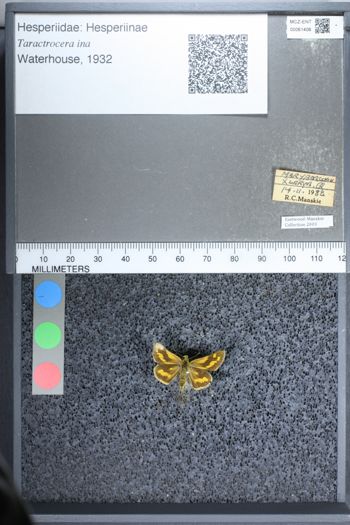 Media type: image;   Entomology 61406